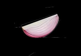 onion-image